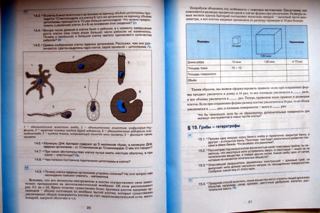 биозад_3.jpg биозад_3.jpg